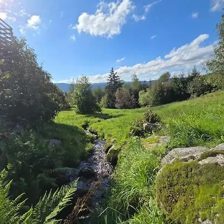 Σαλέ Familial Cosy Et Moderne Gérardmer
